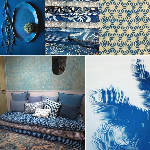 Inspiration couleur : indigo - Le Monde Sauvage