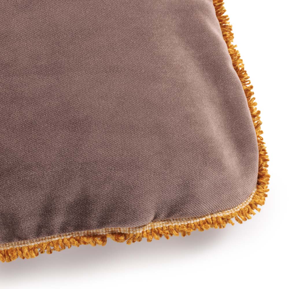 Coussin Le Magicien Aconcagua - Le Monde Sauvage